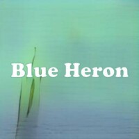 Blue Heron strain