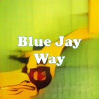 Blue Jay Way strain