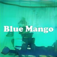 Blue Mango strain