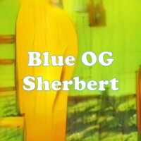 Blue OG Sherbert strain