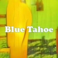 Blue Tahoe strain
