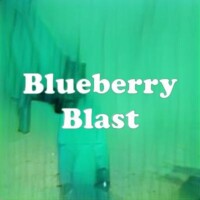 Blueberry Blast strain
