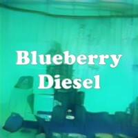 Blueberry Diesel strain