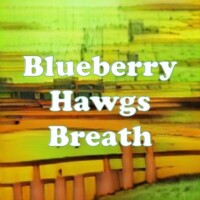 Blueberry Hawgs Breath strain