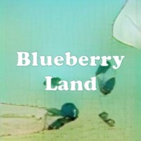 Blueberry Land strain