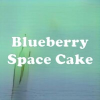 Blueberry Space Cake strain