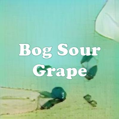 Bog Sour Grape strain