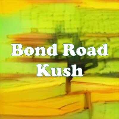 Bond Road Kush strain