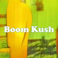 Boom Kush strain