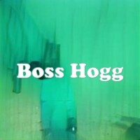Boss Hogg strain
