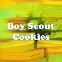 Boy Scout Cookies strain