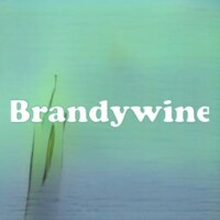 Brandywine strain