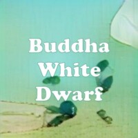 Buddha White Dwarf strain