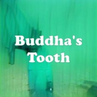 Buddha's Tooth strain