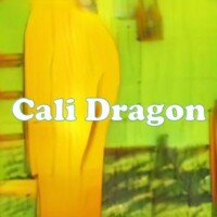 Cali Dragon strain