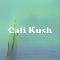 Cali Kush strain