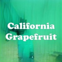 California Grapefruit strain