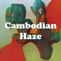 Cambodian Haze strain