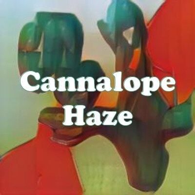 Cannalope Haze strain
