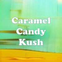 Caramel Candy Kush strain