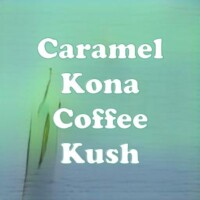 Caramel Kona Coffee Kush strain
