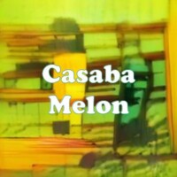 Casaba Melon strain