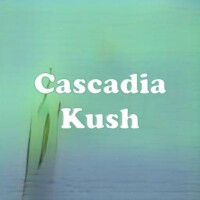 Cascadia Kush strain