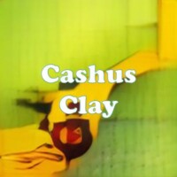 Cashus Clay strain