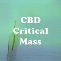 CBD Critical Mass strain