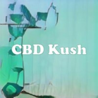 CBD Kush strain