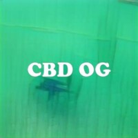 CBD OG strain