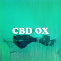 CBD OX strain
