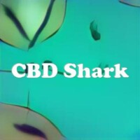 CBD Shark strain