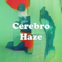 Cerebro Haze strain