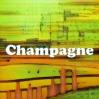 Champagne strain