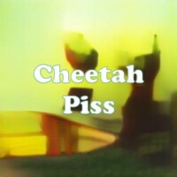 Cheetah Piss strain
