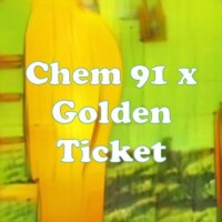 Chem 91 x Golden Ticket strain