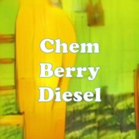 Chem Berry Diesel strain