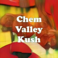 Chem Valley Kush strain