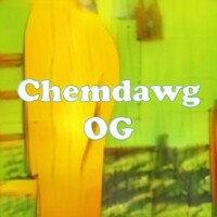 Chemdawg OG strain