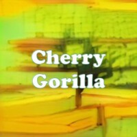 Cherry Gorilla strain