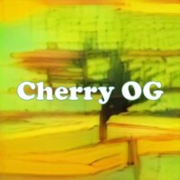 Cherry OG strain