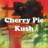 Cherry Pie Kush strain
