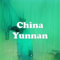 China Yunnan strain
