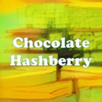 Chocolate Hashberry strain