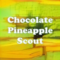 Chocolate Pineapple Scout strain