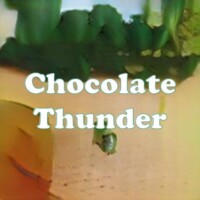 Chocolate Thunder strain