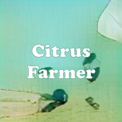 Citrus Farmer strain