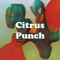 Citrus Punch strain
