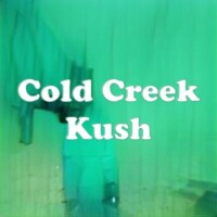 Cold Creek Kush strain
